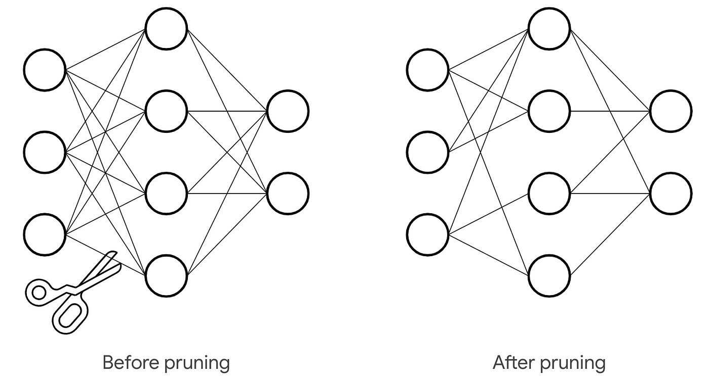 Pruning example