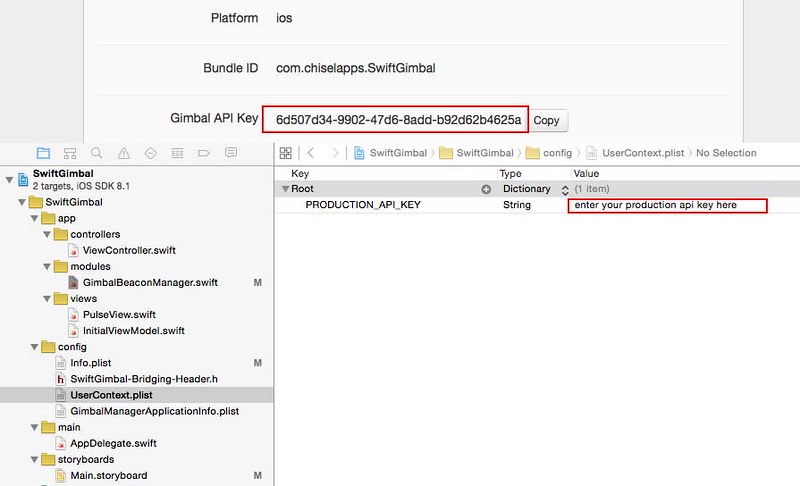 xcode project production api key