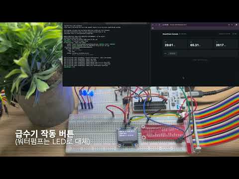 데모 영상