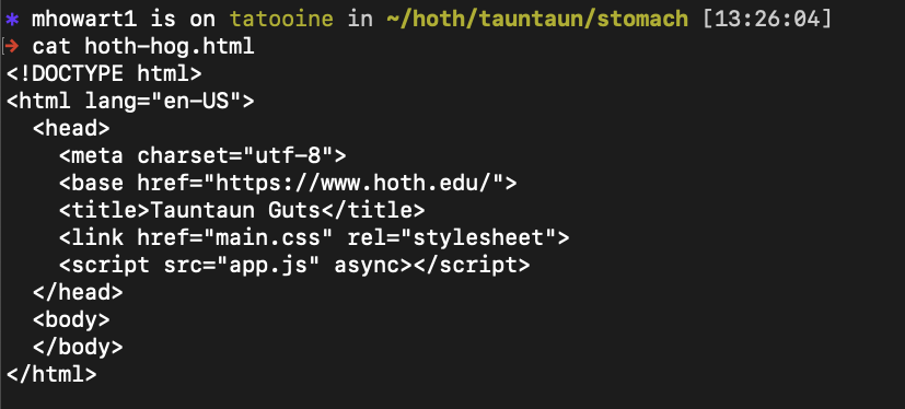 Screenshot of output from cat command, a small html file printed to the terminal after running the "cat" command