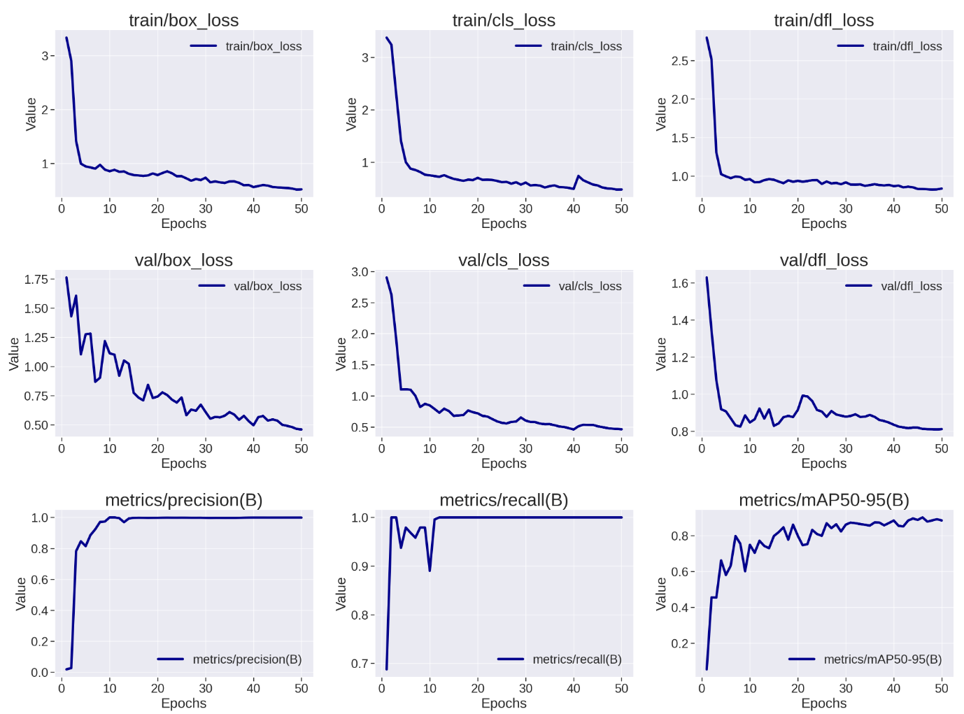 Object Detection Model Evaluations