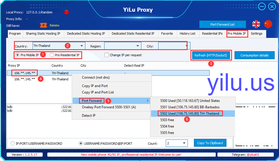 cURL with Proxy