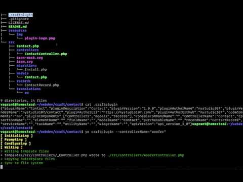 Adding to an existing plugin video