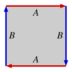 Real Projective Plane