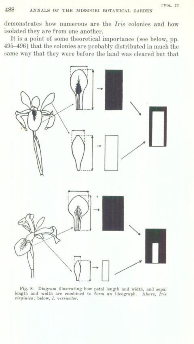 Anderson: The Species Problem in Iris. 1936. p. 488