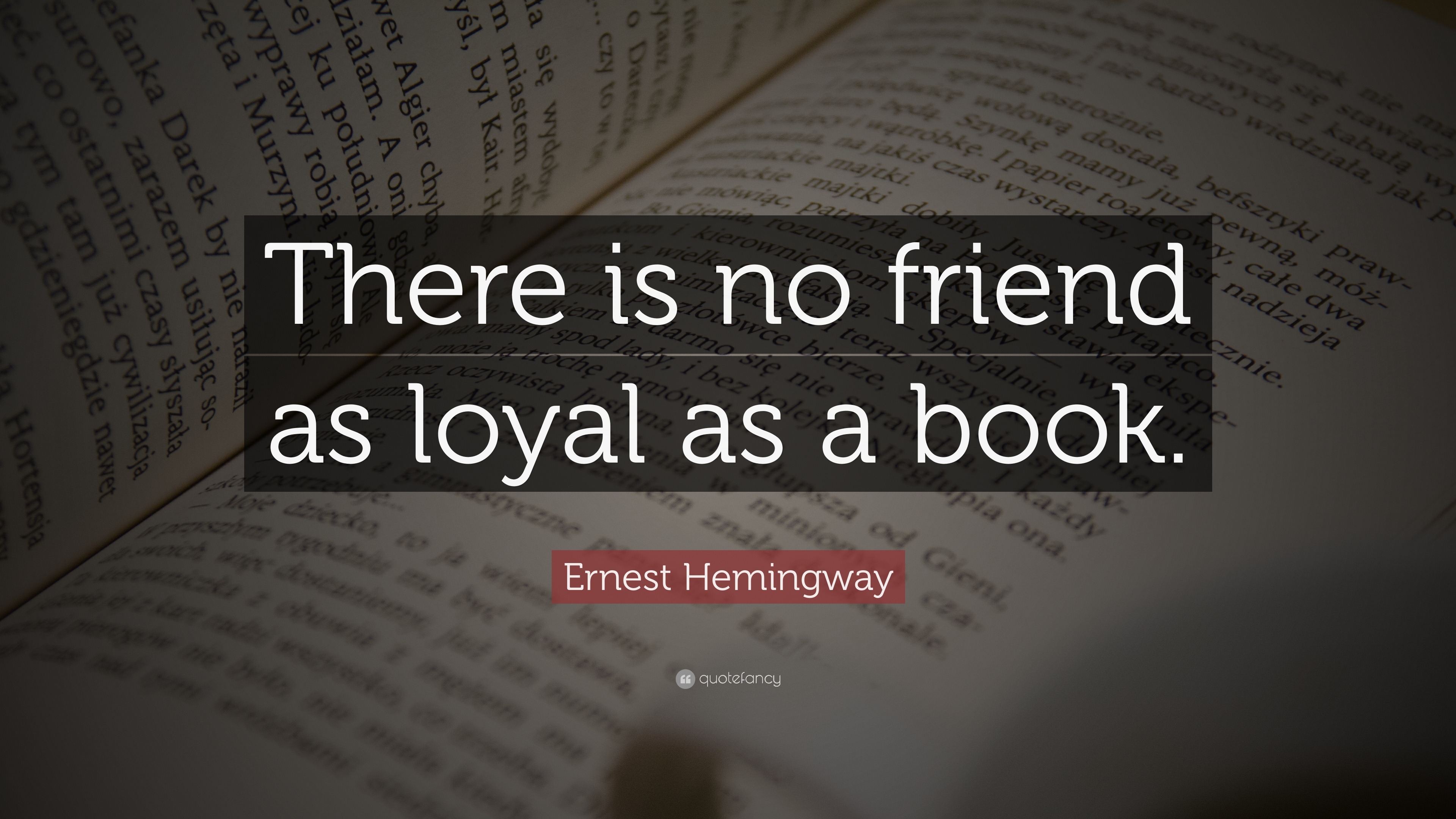 "There is no friend as loyal as a book.", Ernest Hemingway