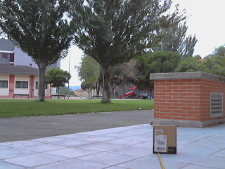 Scene