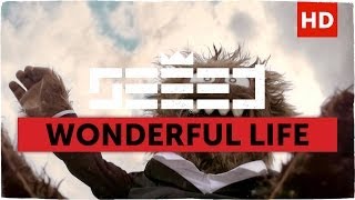Seeed - Wonderful Life  Aargh Video 