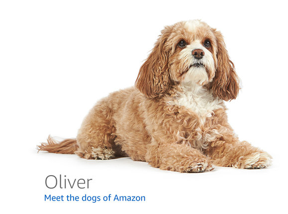 Amazon.com の 404 ページに表示される犬の一覧 · GitHub