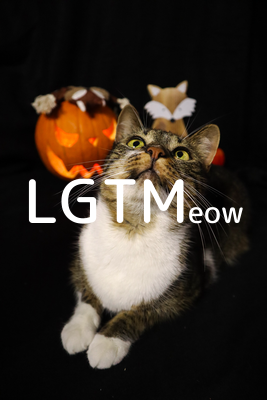 LGTMeow