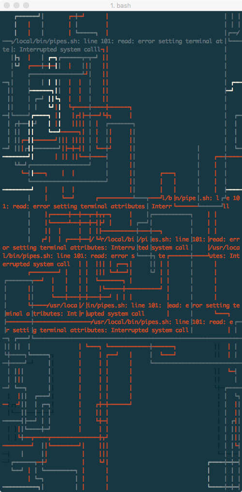 Terminal Window