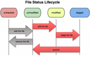 git status lifecyle