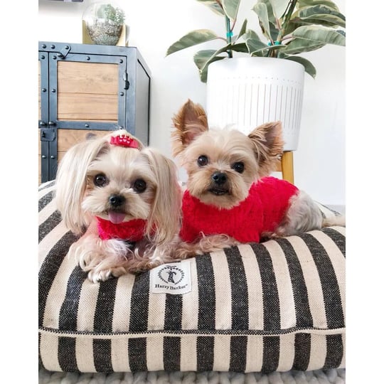harry-barker-medium-vintage-stripe-envelope-dog-bed-in-black-1