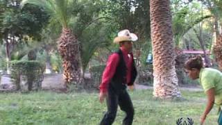 La ranita Interprete el potro Salvaje