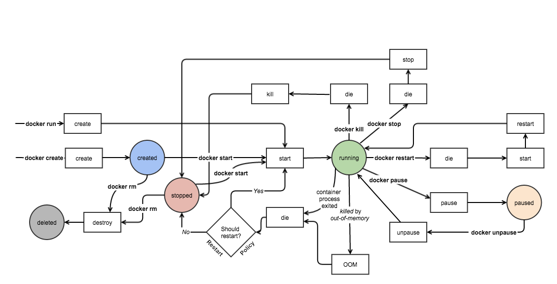 Lifecycle