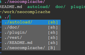 Completion with vimshell(http://github.1git.de/Shougo/vimshell).