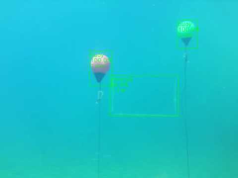 Object detector demonstration