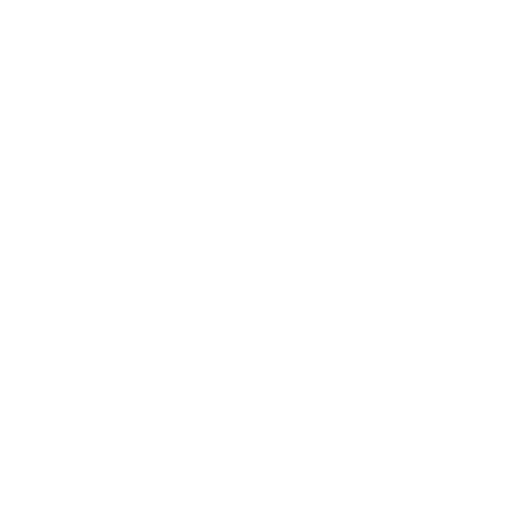 Wordpress Website