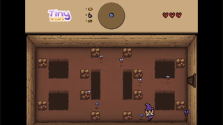 Tiny Wizard Trailer