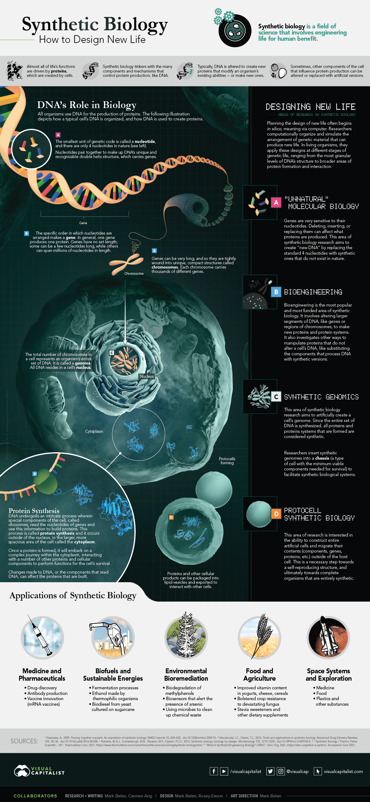 Bio_8_final