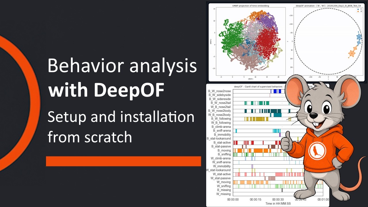 DeepOF (Set-up from scratch and Installation)