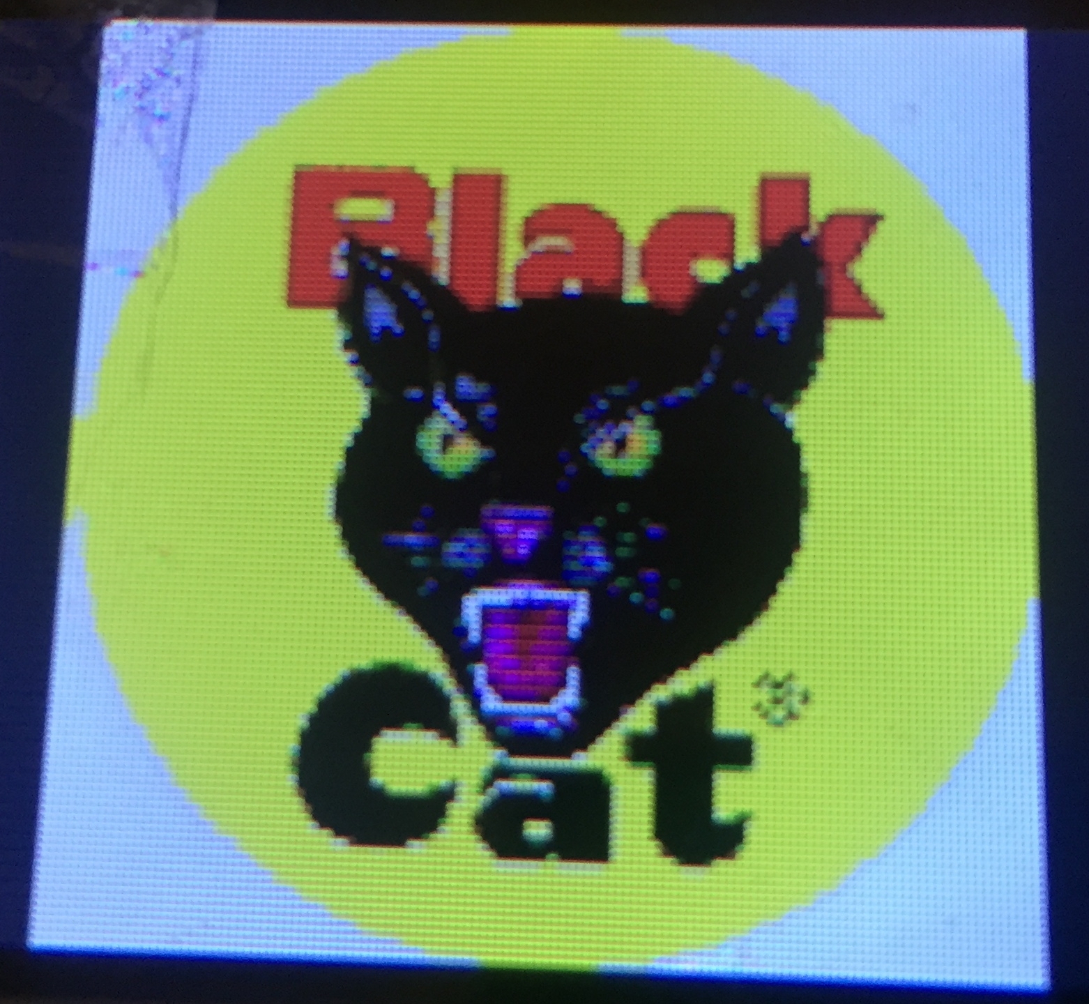 Black cat image