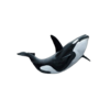 whale