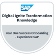 Drive Ignite Transformation Knowledge - Year One Success Onboarding - Experience SAP