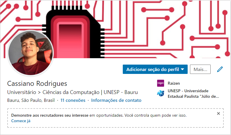 Perfil em uma rede social (Linkedin)