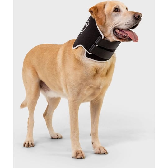 balto-neck-eco-dog-e-collar-alternative-medium-1