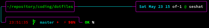 ZSH Prompt Discharging