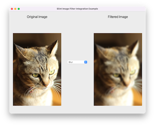 Screenshot of the imagefilter example