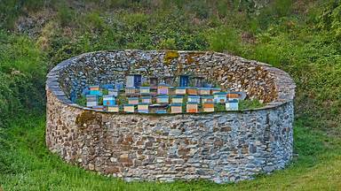 Beehives in the Muniellos Nature Reserve, Asturias province, Spain (© ABB Photo/Shutterstock)