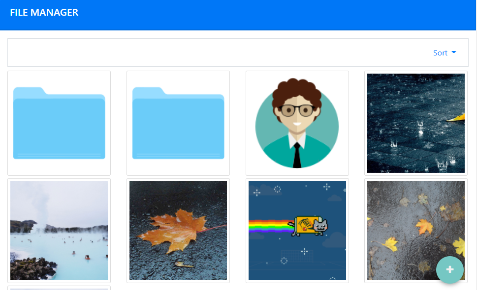 File Manager demo