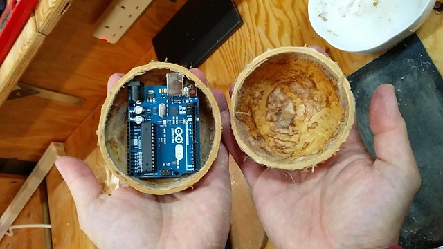 Arduino in coconut