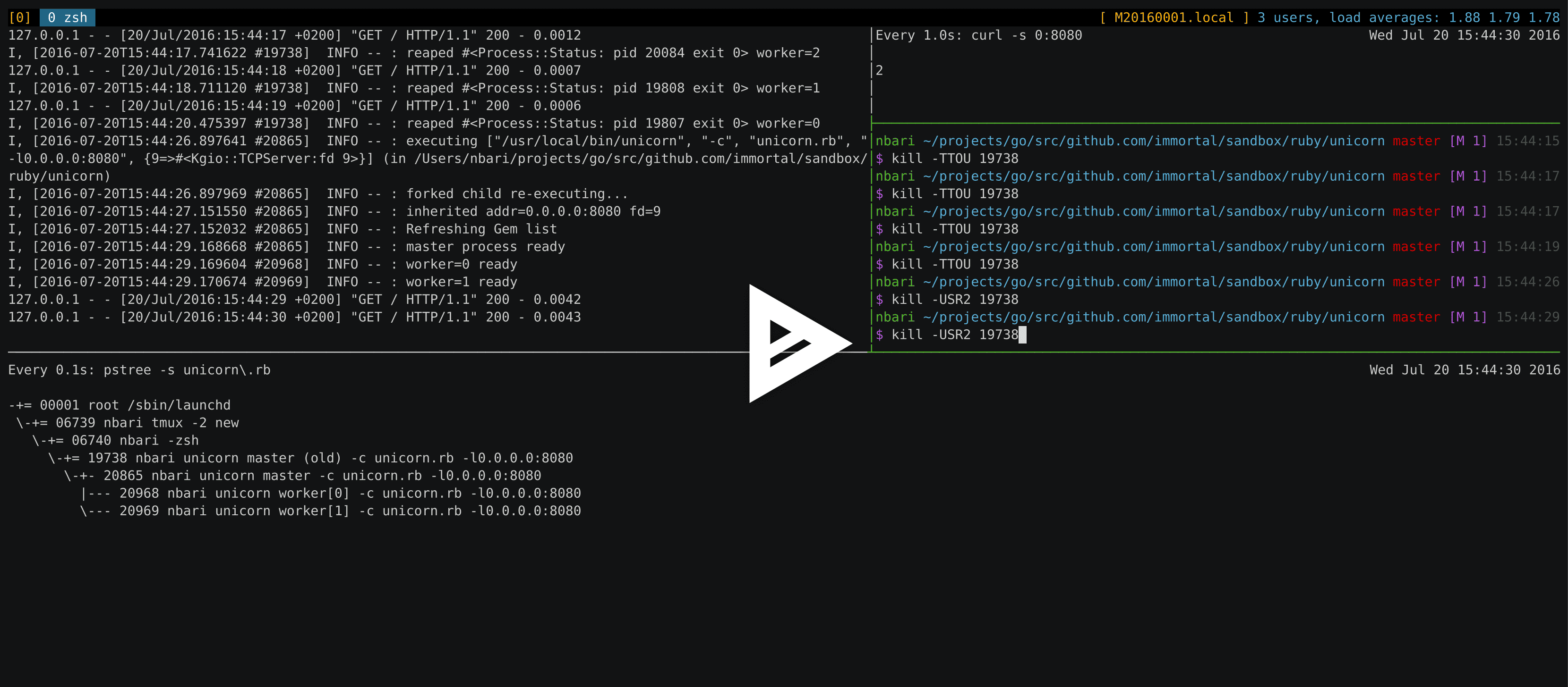 asciicast