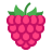 raspberry