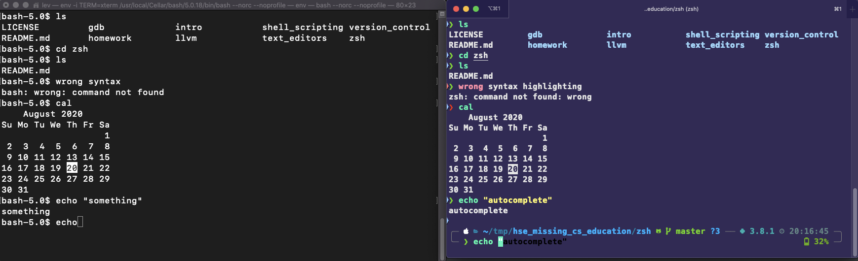 bash-vs-zsh