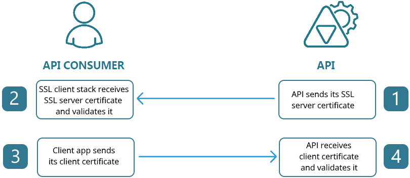 Mutual Authentication Visualized