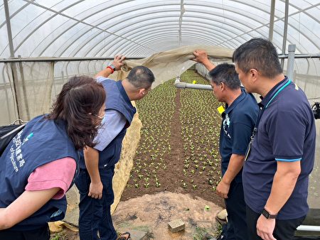 采用塑胶布网室或水平棚架网室等设施栽培者，应检视生产设施，注意结构安全。