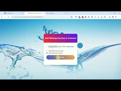 AMITSESetup Decryptor & Unlocker