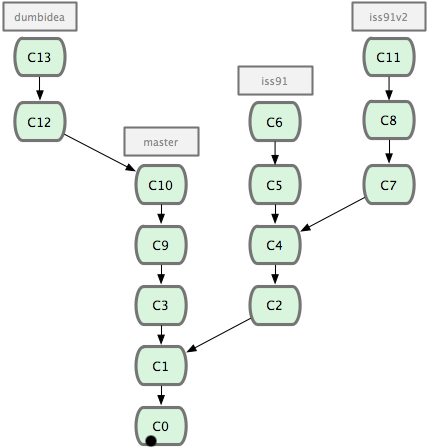 git_branch20