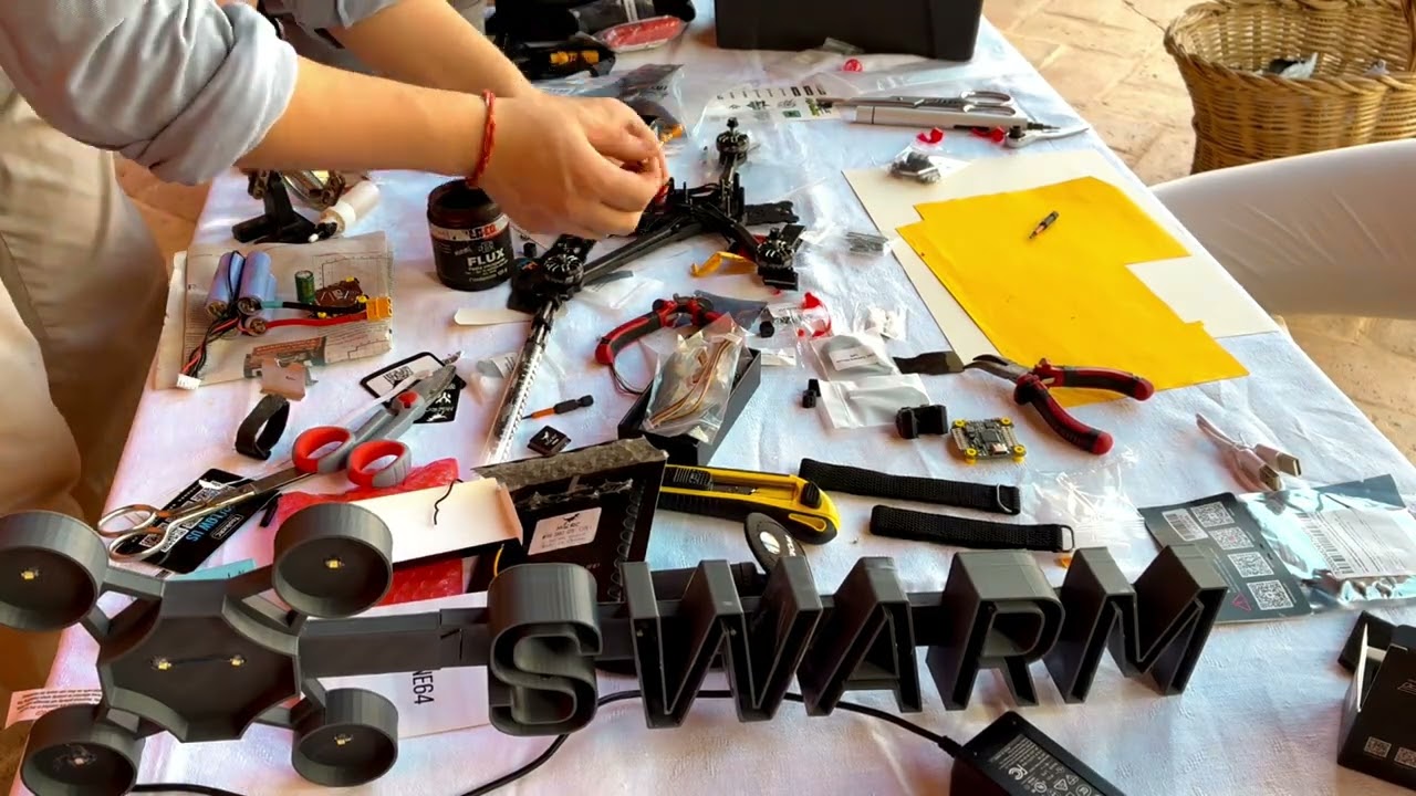 Langostino real flight — click to watch