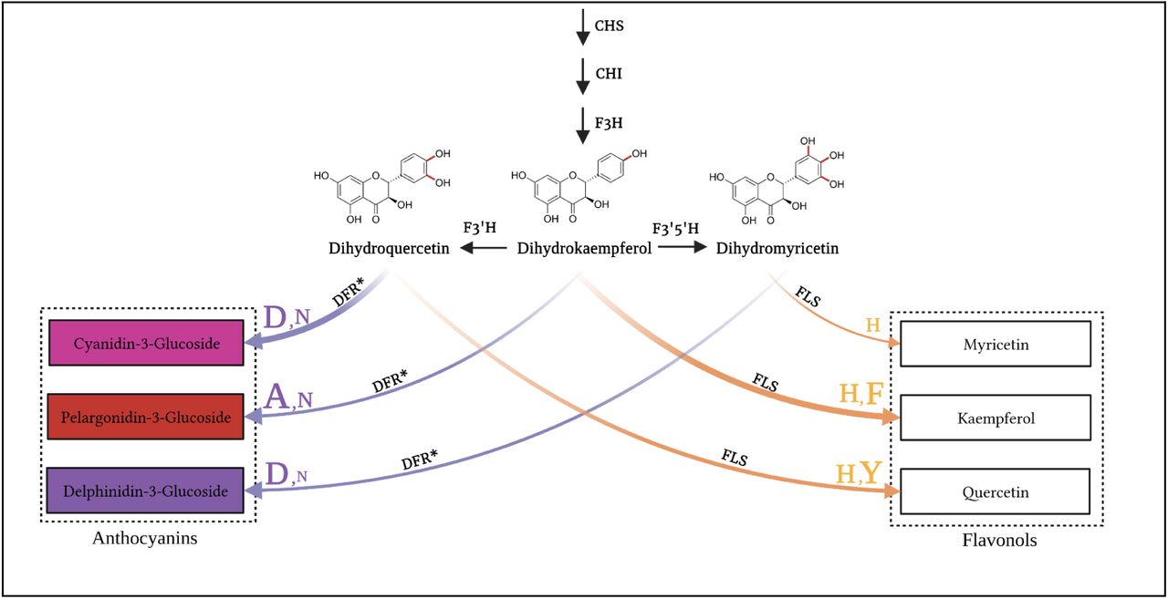 Mitigating substrate competition of FLS and DFR (85)