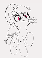 pony image