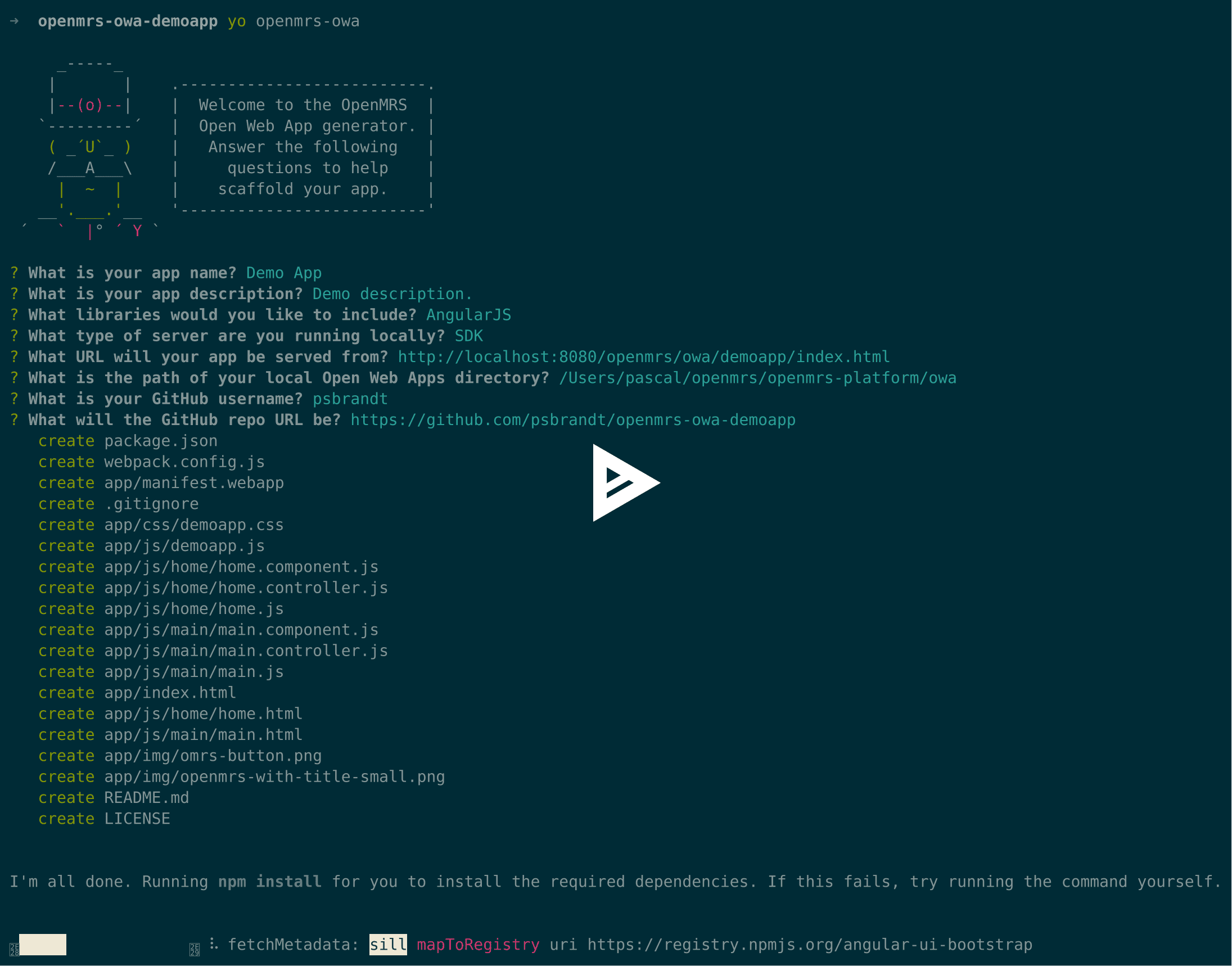 OpenMRS OWA Asciicast