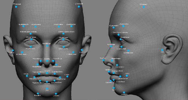 facial landmarks