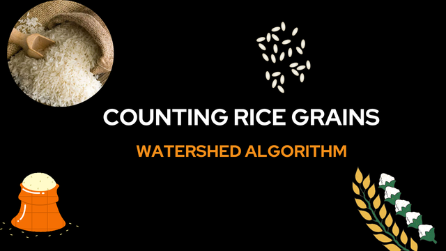 Counting-RIce-Grains