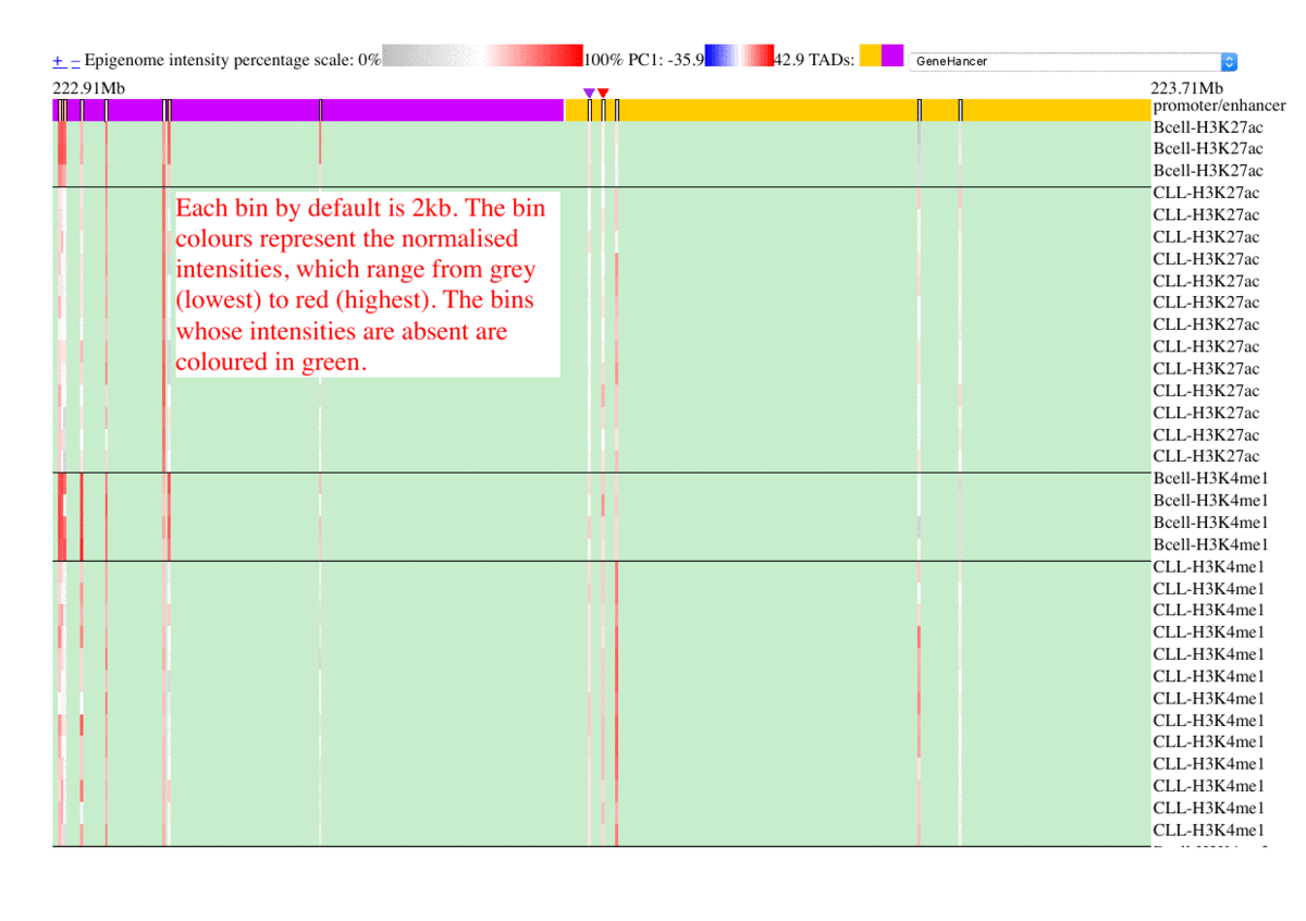 Click to see instructions on how to use this epigenome browser 