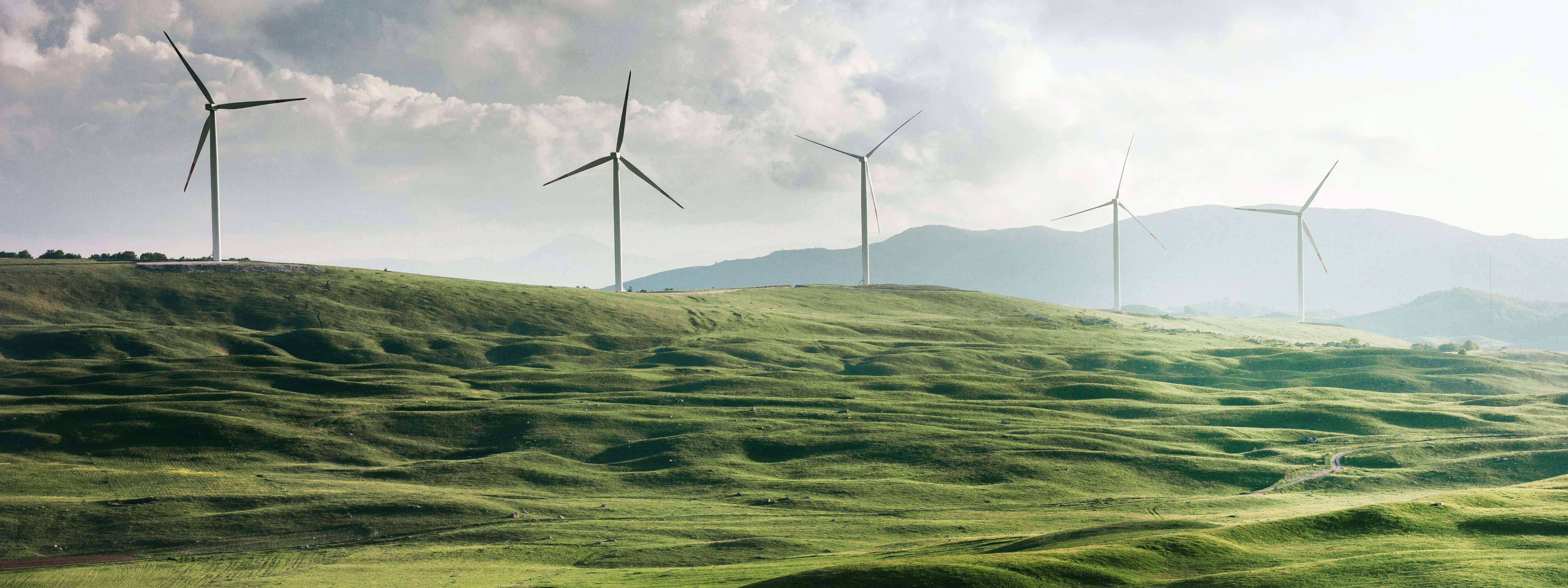 banner-windmill-3-1920x720px.jpg